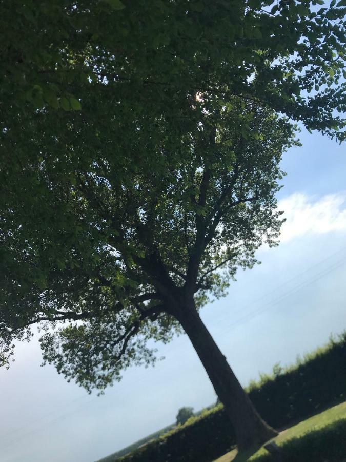B&B Temenos Parma Exteriör bild
