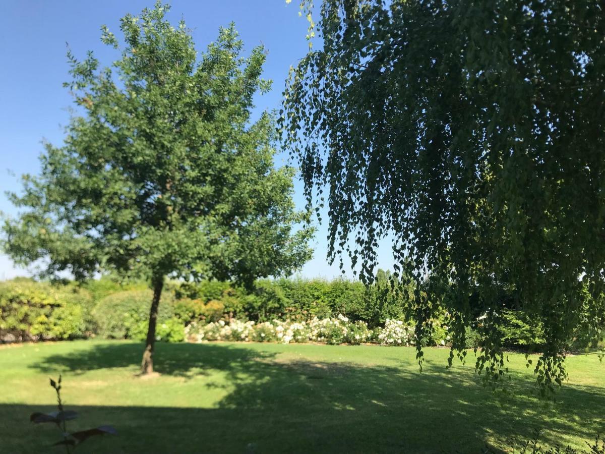 B&B Temenos Parma Exteriör bild